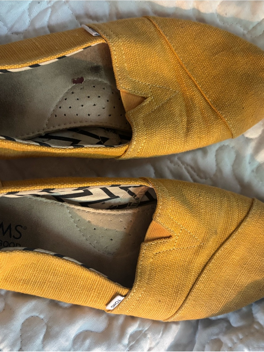 Toms Mustard Yellow Canvas Slip-On Shoes